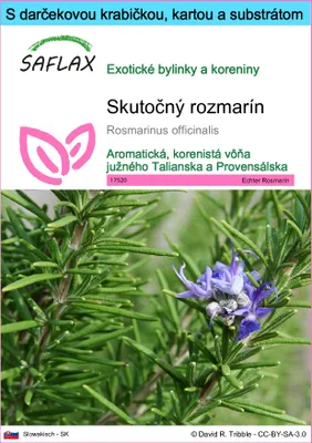 Obrázok produktu pre SAFLAX Darčeková sada - Skutočný rozmarín - Rosmarinus officinalis - 100 Semená - S darčekovou krabičkou, prepravným štítkom, darčekovou kartou a pestovateľským médiom