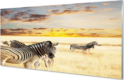 Immagine prodotto di Quadri in vetro, dimensioni 100x50 cm, soggetti: zebre, prateria, tramonto