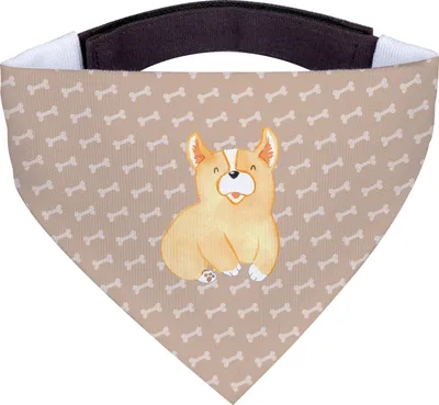 Produktbild von Mr. & Mrs. Panda Bandana Corgie - Hundeglück - Geschenk, Dreieckstuch, Bellen, Halstuch Für Hunde, Hundehalstuch, Lebensfreude, Spruch, Sprüche, Hals Tuch, Hund, Corgi