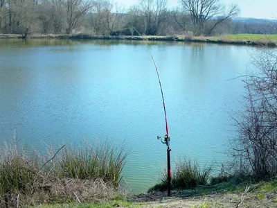 Immagine prodotto di Portacanna da pesca Dolphin Catfish Energy