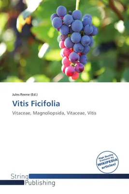 Produktbild von Vitis Ficifolia