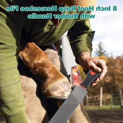 Image de Râpe à sabots avec manche en caoutchouc, idéale pour les chevaux, les moutons et les bovins