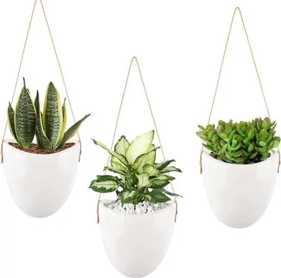 Image de Pots de fleurs muraux en céramique - blancs - lot de 3