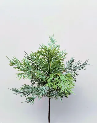 Produktbild von artplants.de Kunst Zedernzweig BALTHILDE, grün, 50cm - Künstlicher Zedernzweig