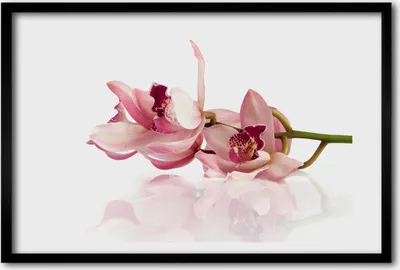 Produktbild von Bild 60x40 MDF-Rahmen, Wandkunst Orchidee