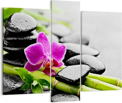 Produktbild von Bild auf Leinwand - Leinwandbild - Pflanze Steine Bambus Spa - 95x80cm - Wand Bild - Wanddeko - Leinwanddruck - Bilder - Kunstdruck - Wanddekoration - Leinwand bilder - Wandkunst - CB95x80-2681