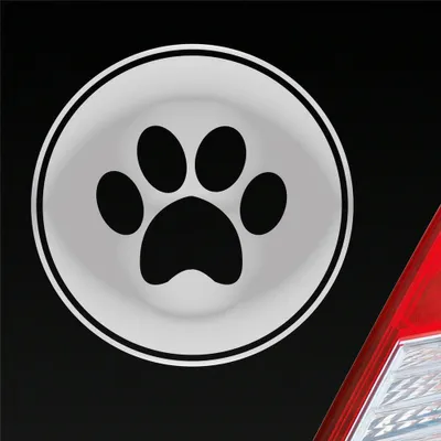 Produktbild von Auto Aufkleber Pfote Paw Dog Hund Tier Haustier Abdruck 10x10 cm Silber Sticker Heckscheibenaufkleber