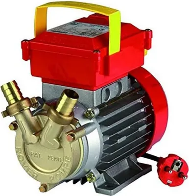 Image de Champion Electropump Rover20Ce
