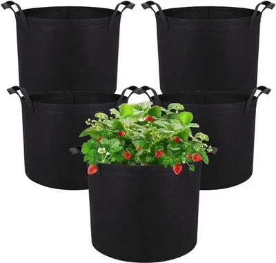 Productafbeelding van Plantenkoeltassen, set van 5 - 15 gallon, gemaakt van duurzaam materiaal met handgrepen