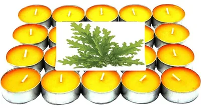 Imagen del producto de Velas pequeñas sin olor, 120 unidades, en soportes de aluminio