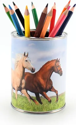 Produktbild von Stiftebecher 3 Pferde inkl. 12 Dreikant Buntstiften Kinder Stifteköcher Stiftehalter Schreibtisch Organizer Mädchen Junge
