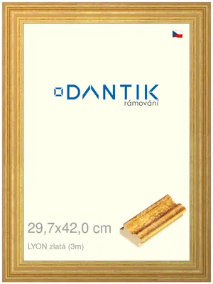 Obrázok produktu pre Rám DANTIK 29,7x42 | LYON gold (Plexi Clear)