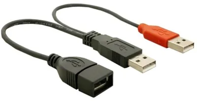 Image de DELOCK USB Y-cable A -> 2x A Bu/St 0.225m