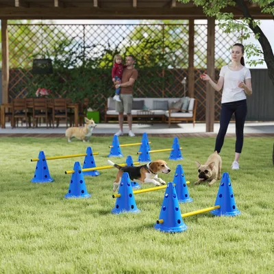 Produktbild von Hunde Agility Set 6 Hürden, Steckhürdenset 3 Höhenstufen 12 Kegel, ABS Kunststoff, Blau | 80 x 22,5 x 30 cm | 2,5 kg | mit Oxford-Tragetasche