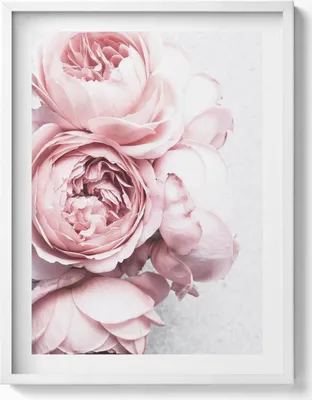 Produktbild von Zarter romantischer Blumenstrauß– Wandbild mit Rahmen – Gerahmtes Bild  – Wanddekoration – 60x80 cm –  Weiß Rahmen