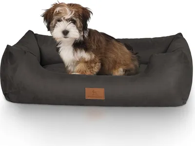 Produktbild von Knuffelwuff Hundebett Dreamline aus Velours M-L 85 x 63cm Schwarz