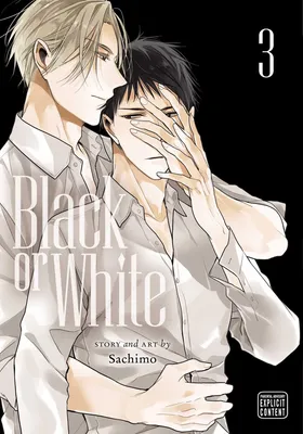 Produktbild von Black or White, Vol. 3