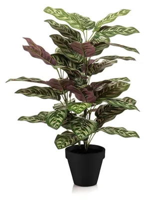 Produktbild von Kunstpflanze - Calathea im Topf - Korbmarante - 65 cm