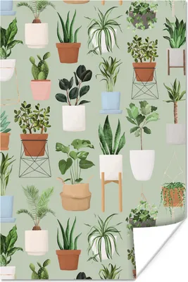 Produktbild von MuchoWow® Poster Pflanzen - Zimmerpflanzen - Pastell 80x120 cm - Papierdruck