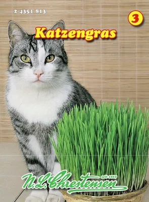 Produktbild von Katzengras | Kleintiersaaten von N.L. Chrestensen
