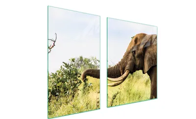Produktbild von Glasplatte und Schneidebrett 100x52 Elefant