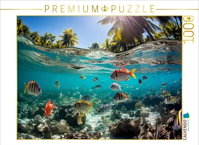 Produktbild von CALVENDO Puzzle Kunterbuntes Treiben unter Wasser - Fische in den Tropen | 1000 Teile Lege-Größe 64x48cm Foto-Puzzle für glückliche Stunden