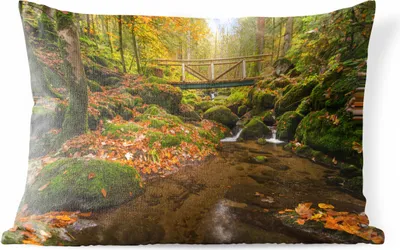 Produktbild von MuchoWow® Outdoor Kissen - Der Schwarzwald in Deutschland im Herbst - 60x40 cm - Wetterfest - Lounge Kissen - Zierkissen - Kissen für Innenräume