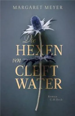 Produktbild von Die Hexen von Cleftwater