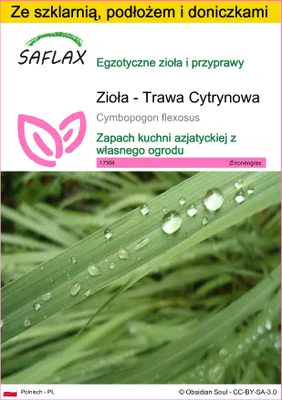 Zdjęcie produktu dla SAFLAX - Zestaw do uprawy - Zioła - Trawa Cytrynowa - 50 Nasiona - Z mini szklarnią, podłożem uprawowym i 2 doniczkami - Cymbopogon flexosus