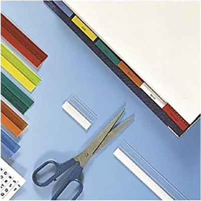 Produktbild von Esselte 55000, Leere Registerkarte, Transparent, Polyvinylchlorid (PVC)