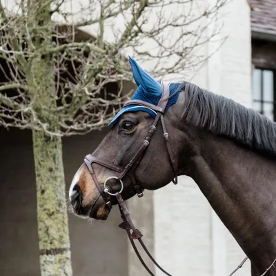 Image de Kentucky Horsewear Bonnet anti-mouches Wellington Basic Velvet Marine Full