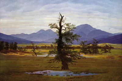 Obrázok produktu pre Caspar David Friedrich Art Print Obraz - Osamelý strom, 1822 (80 x 120 cm)