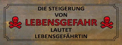 Produktbild von vianmo Holzschild 10x27 cm von Lebensgefahr Lebensgefährtin Spruch Zitat