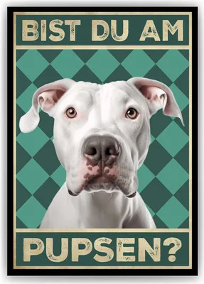 Produktbild von Dogo Argentino - Bist du am Pupsen? Hunde Poster Badezimmer Gästebad Wandbild Klo Toilette Dekoration Lustiges Gäste-WC Bild DIN A4 – DIN A4 (21x29.7cm)