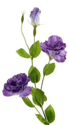 Productafbeelding van Viridis Kwiat Kunstbloem Eustoma, 70 cm, met rubberen coating