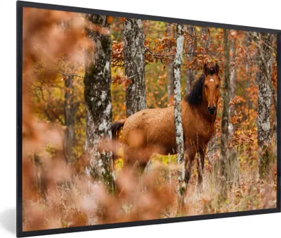 Produktbild von MuchoWow® MuchoWow® Gerahmtes Poster Pferd - Wald - Braun 30x20 cm - Poster mit zchwarzem Bilderrahmen - Kunstdruck - Bild-Poster