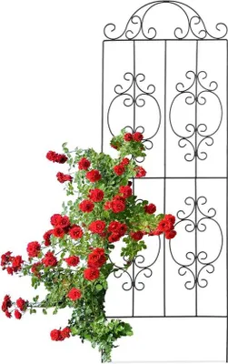 Produktbild von Schwarze Metall-Kletterpflanzenständer halbrund 116x40cm