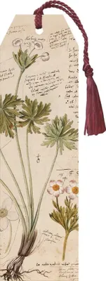 Immagine prodotto di Segnalibro 88 con nastro Anno 1550