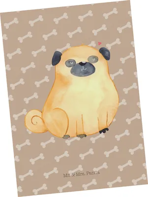 Produktbild von Mr. & Mrs. Panda Postkarte Mops - Hundeglück - Geschenk, Hund, Sprüche, Hundeliebe, einzelkarte, Ansichtskarte, Liebe, Knuffig, Fotokarte, Grußkarte, Postkarten