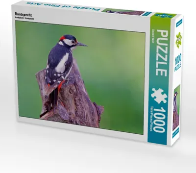 Produktbild von Calvendo Buntspecht 1000 Teile Puzzle quer 640x480mm, Wolf Gerald; 7376409