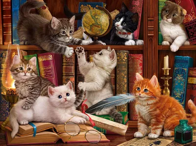Image de SunsOut Puzzle Library Kittens - 1000 pièces Puzzle de chats