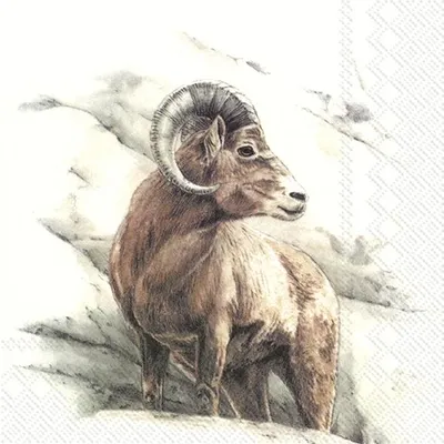 Produktbild von Servietten 33x33 cm - MOUNTAIN WILDLIFE