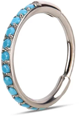 Produktbild von Neuspiercings mit Scharnierring – Silberner Nasenring – Titan – Retro-Ohrringe – Geschenk für Damen/Herren – Perfekt für den täglichen Gebrauch – Nasenringe