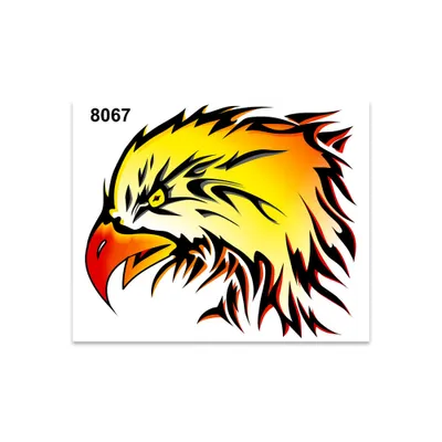 Image de Autocollant tête d'aigle 14 x 16 cm