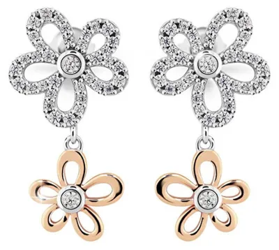 Image de Boucles d'oreilles J219CZ-R