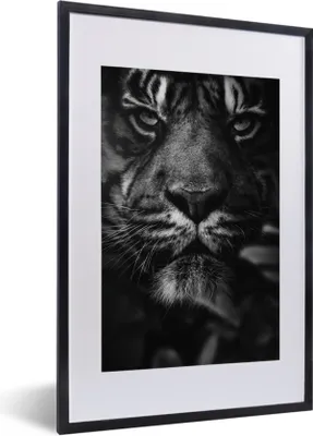 Produktbild von MuchoWow® Gerahmtes Poster Nahaufnahme eines Tigers im Dschungel - schwarz und weiß 40x60 cm - Poster mit Schwarzem Bilderrahmen Wandposter Rahmen Foto Bilder - Poster in Rahmen