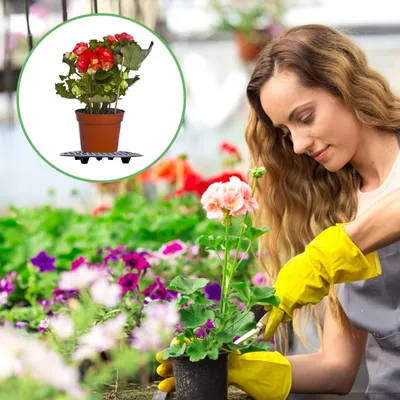 Produktbild von Pflanzensockel - 6 Stück Blumenschalensockel - Pflanzensockel für große Pflanzen - Pflanzenschalenhalter - Pflanzenniveau - Blumenschalenheber für Dach oder Terrasse - 20 cm