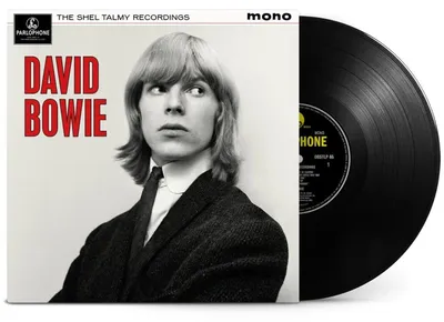 Immagine prodotto di David Bowie - The Shel Talmy Recordings (edizione da 180 grammi) (LP)