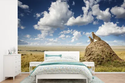 Produktbild von MuchoWow® Fototapete für Wohnzimmer oder Schlafzimmer Wandtapete Vinyl Motivtapete Geparden - Steine - Gras - 420x280 cm - Zimmer für Kinder