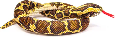 A stuffed toy snake coiled on a white background.